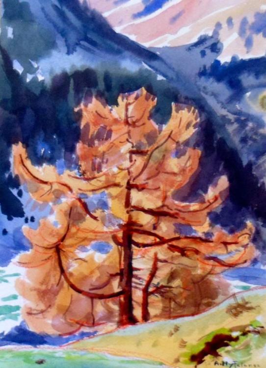 Herbstlärche