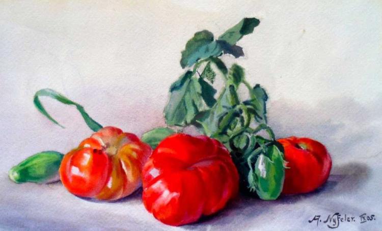 Tomaten