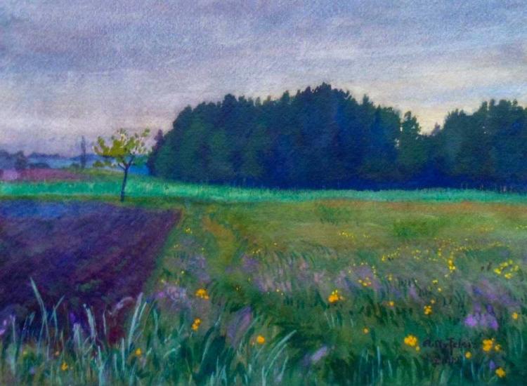 Am Waldrand